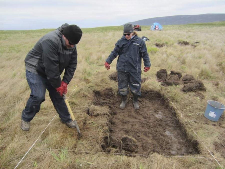 Viking’s Settlement  Found in Newfoundland