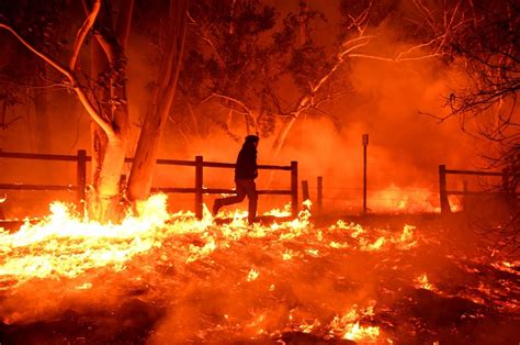 NorCal forests reduced to ashes by the camp fire