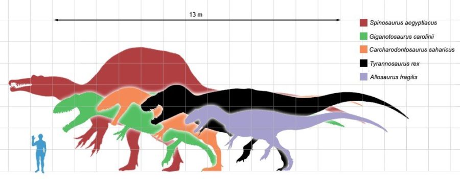 Legendary river monster Discovered