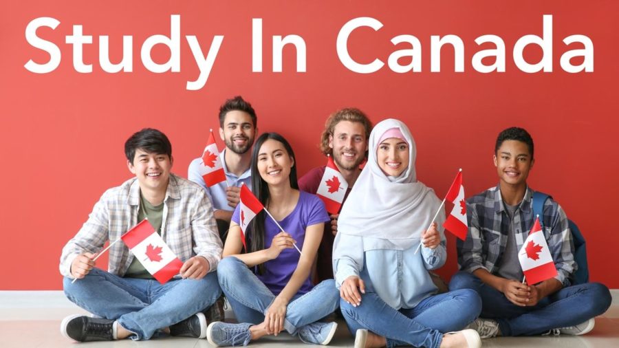 Group+of+students+with+Canadian+flags+sitting+near+color+wall