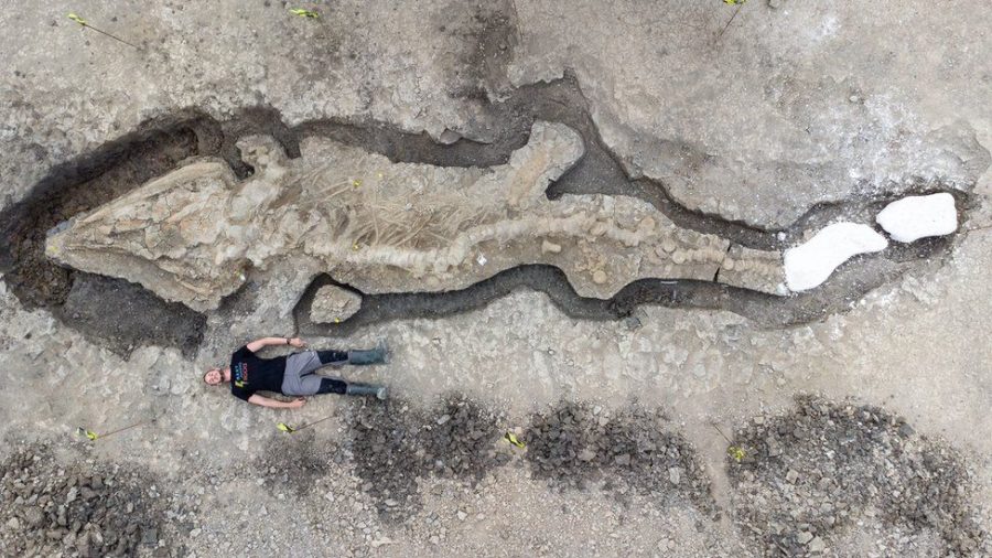 Giant Seadragon Fossile Found In The UK