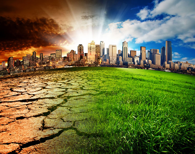 How Can we Reverse Climate Change?