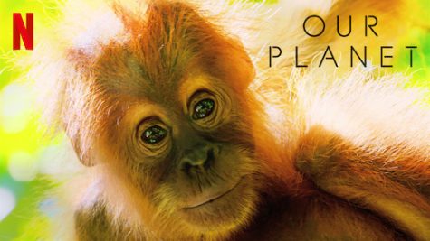 Our Planet: Netflix Documentary