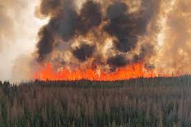 Alberta Wild Fire