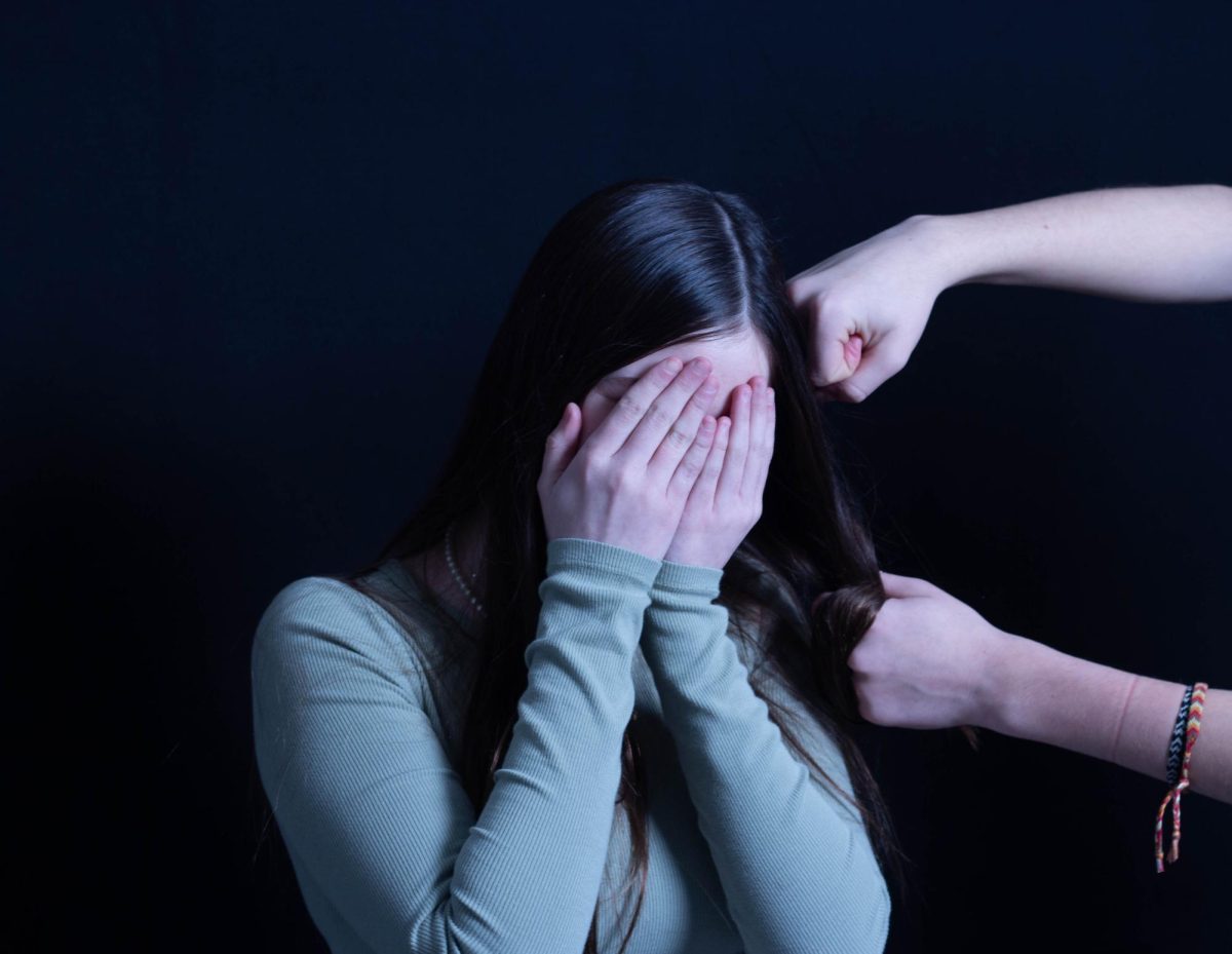 Domestic Violence: The Issue