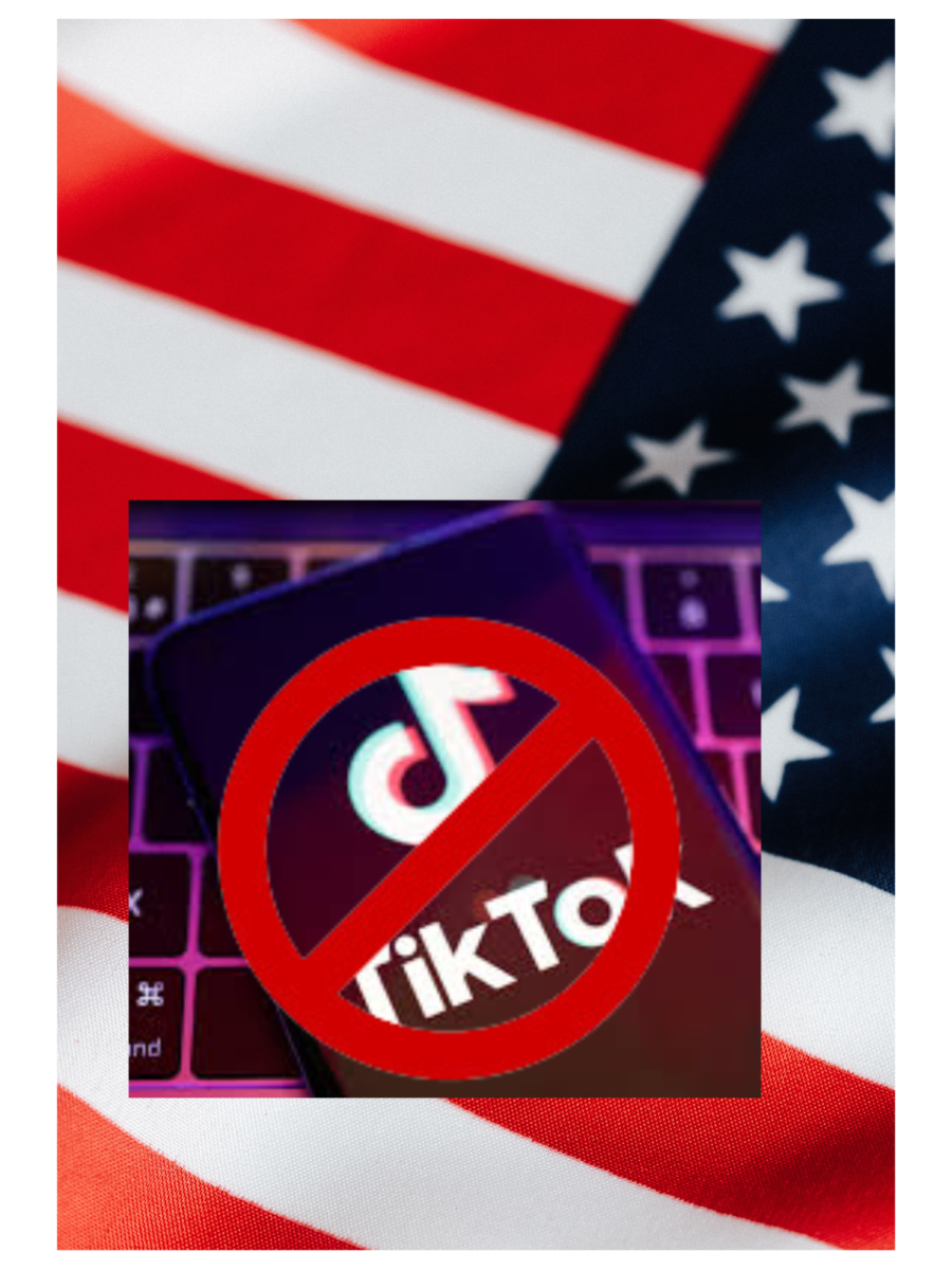 U.S.A+to+Ban+TikTok%3F