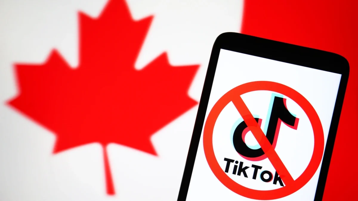 Would Teenagers Survive without TikTok?