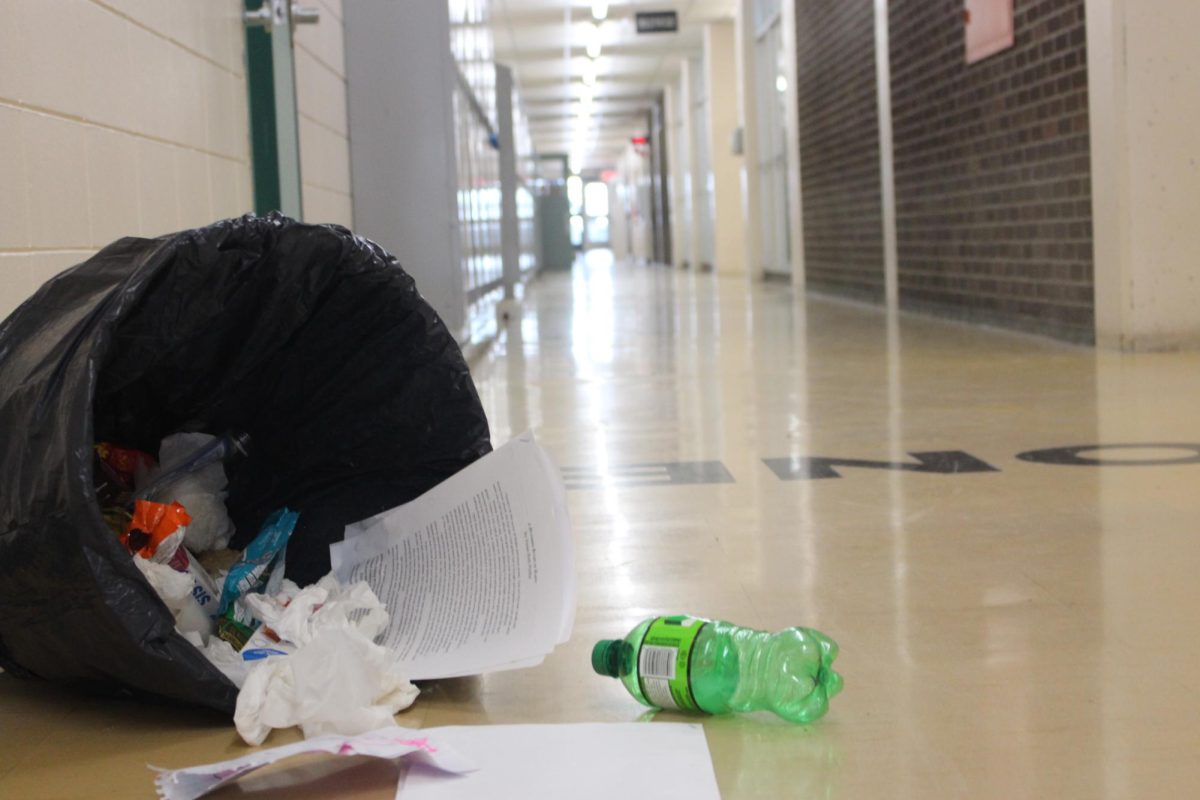 La Camaradière's Cleanliness at Risk
