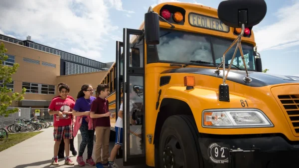 Jungle in School Buses across Quebec