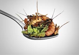 Insects: Food of the Future?