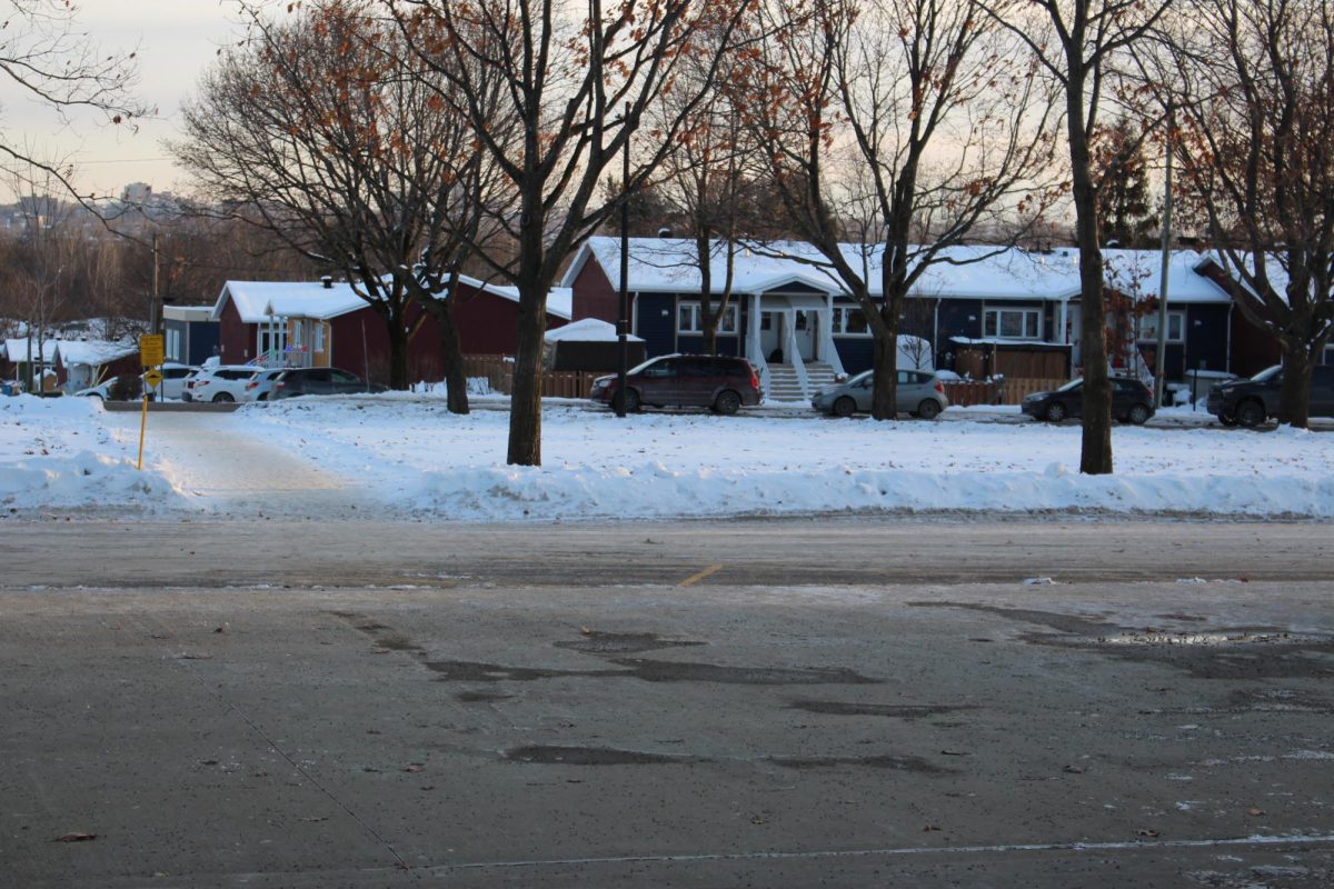 New Immigrants Confront Their First Quebec Winter