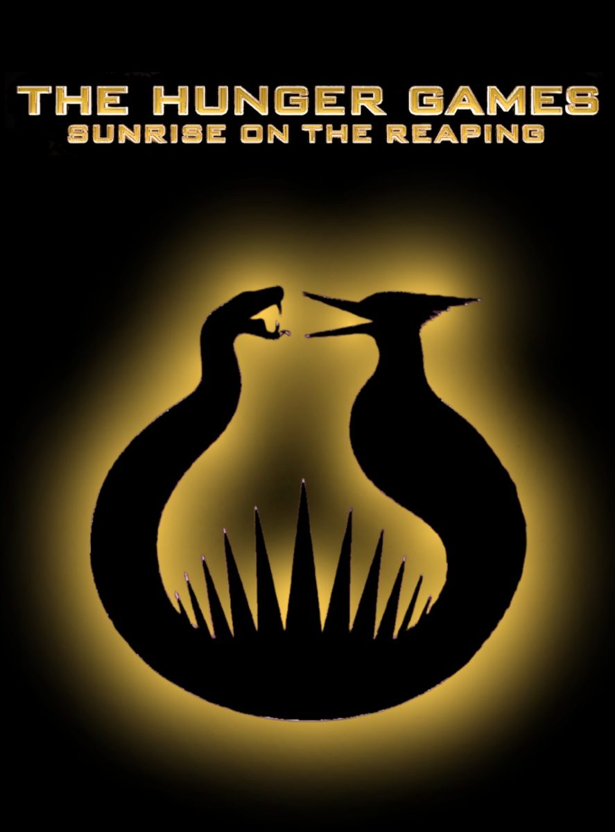 New Hunger Games Movie: What to Expect