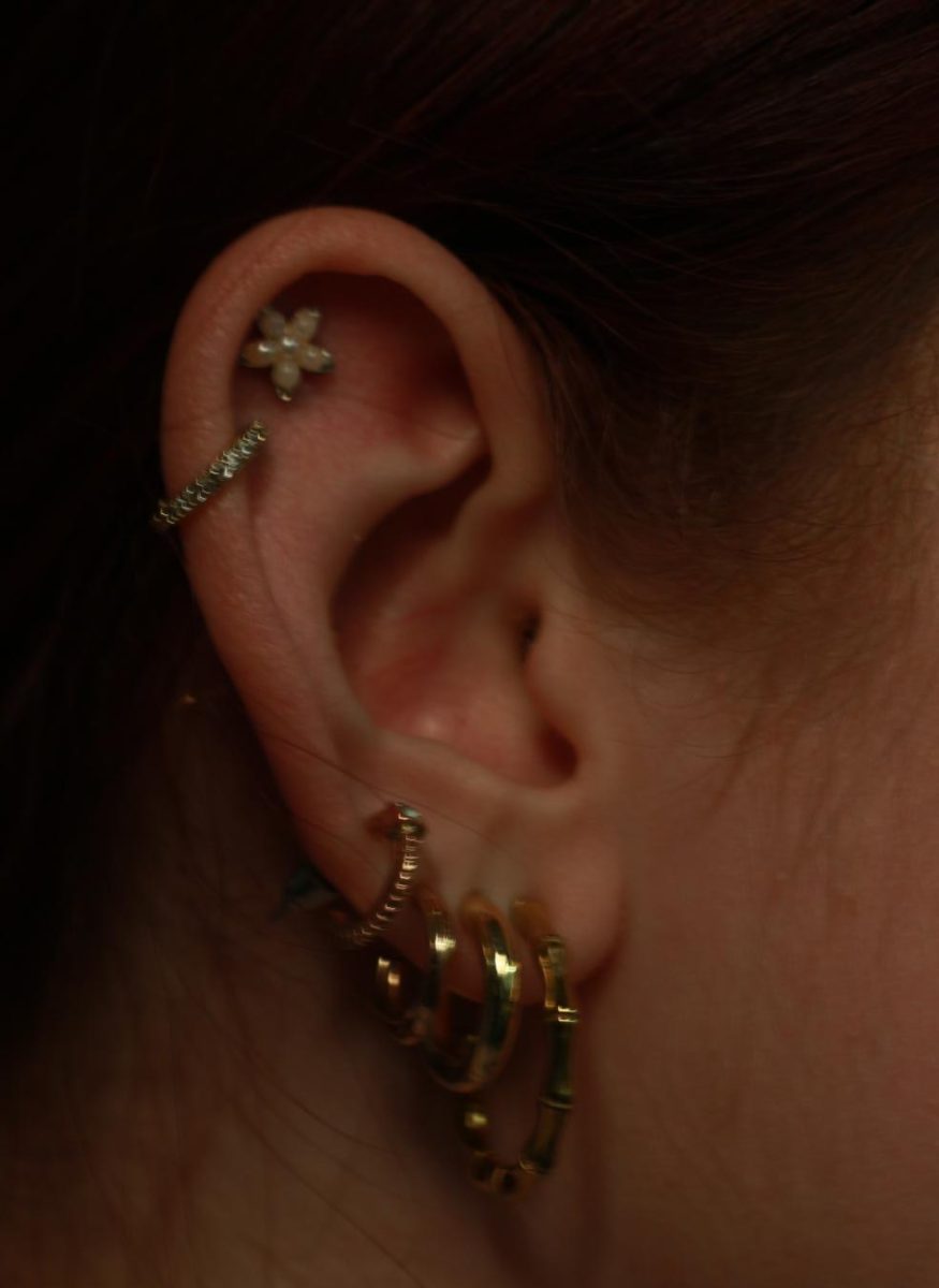 Tattoos and Piercings : Worth The Risk?